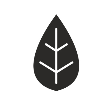 Li8ść, ikona, wektor, element logo