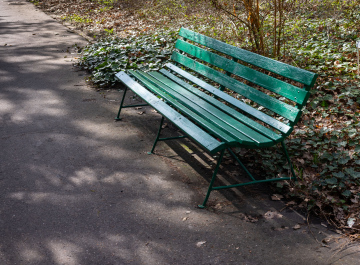 Zielona Ławka w Parku