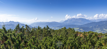 Kosodrzewina i Widok na Alpy