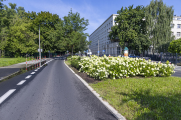 Ulica Reymonta w Krakowie, zieleń miejska