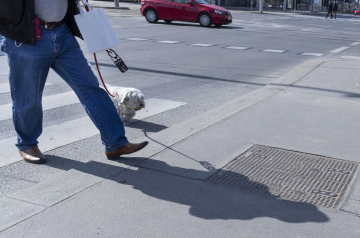 Człowiek z psem na przejściu dla pieszych