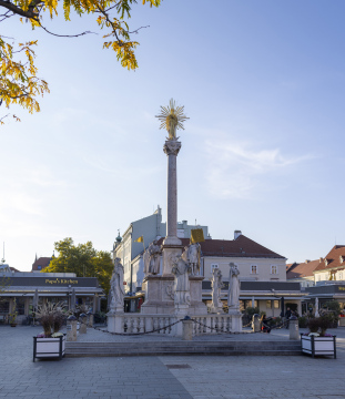 Rynek i kolumna z posągiem maryjnym w Wiener Neustadt