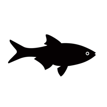 Ryba, darmowa ikona
