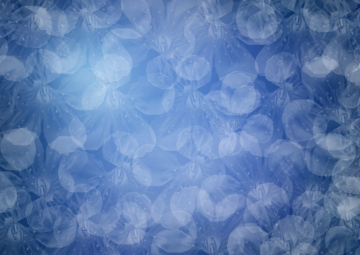 Niebieski tło z białymi płatkami kwiatów