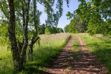 Polna droga w naturalnym terenie