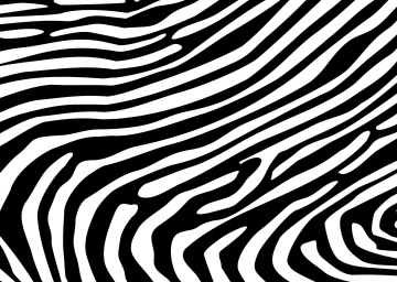 Wzór Czarno-biały zebra