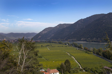 Widok na Dolinę Wachau i Dunaj