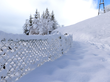 Duże Opady Śniegu i zasypane ogrodzenie.