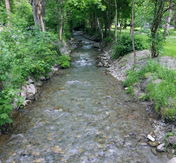 Mały Potok, Rzeka z porośniętymi brzegami.