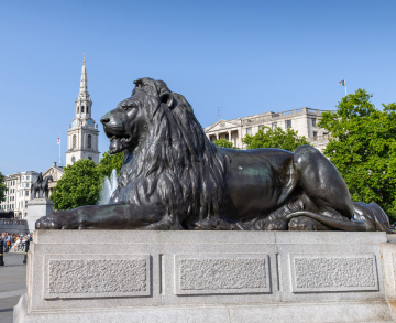 Trafalgar Square w Londynie , lew rzeźba