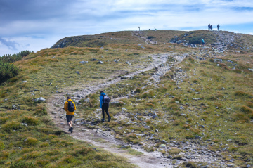 Wycieczka górska - podejście ścieżką pod szczyt - darmowe zdjęcie