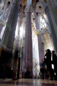 Wnętrze Katedry Sagrada Familia