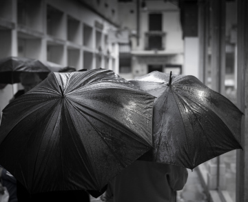 Parasole w Deszczowy Dzień - czarno-białe zdjęcie