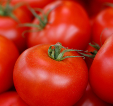 Pomidory na Straganie