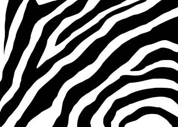 Zebra - Tło Wektorowe