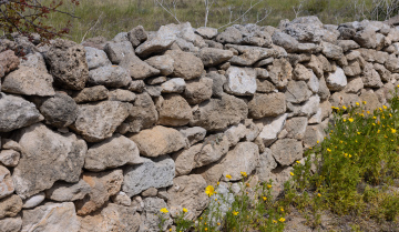 Mur z polnych kamieni