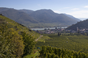 Widok Na Miasteczko Spitz 