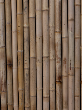 Bambusowe paliki tło