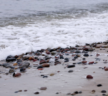 Piaszczysta Plaża Z Kamieniami 