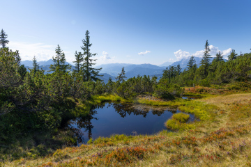 Małe jeziorka wypełnione wodą przy szlaku górskim w rejonie Grießenkareck - zdjęcie stockowe