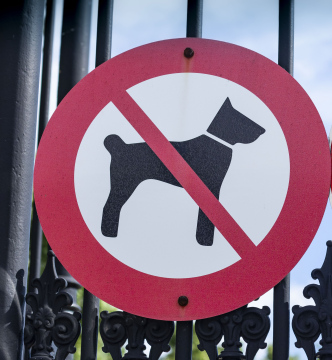 Znak - zakaz wprowadzania psów