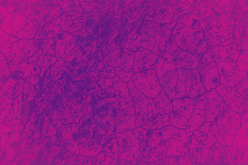 Tło z motywem różu i fioletu - spękalina