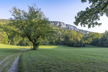 Peilstein - Skały w Wienerwald Austria