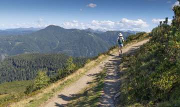 Górska Scieżka w okolicach Flachau 