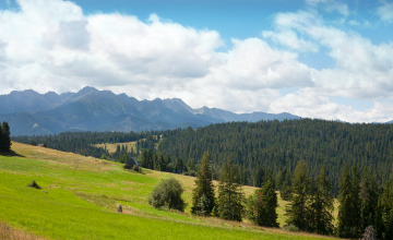 Widok na Tatry