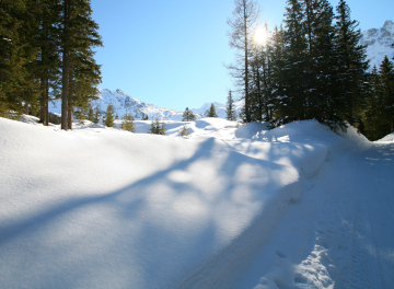 Zima w Alpach