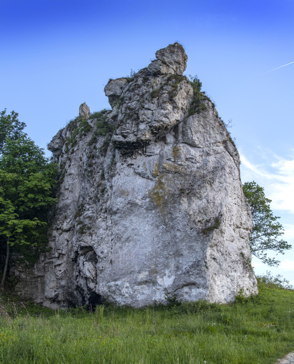 Samotna Wapienna Skała na Jurze 