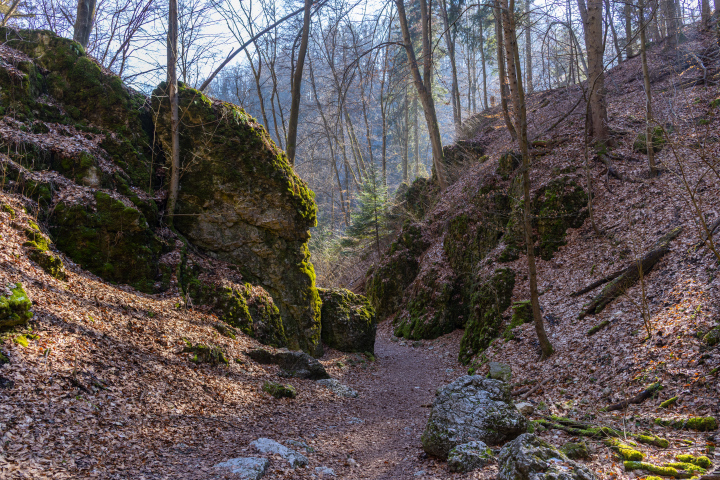 Skały w Ojcowskim Parku Narodowym 