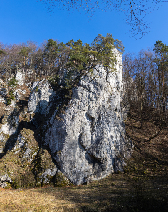 Skała wapienna z drzewami na szczycie
