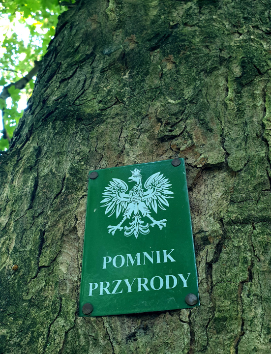 Pomnik Przyrody - tabliczka na drzewie