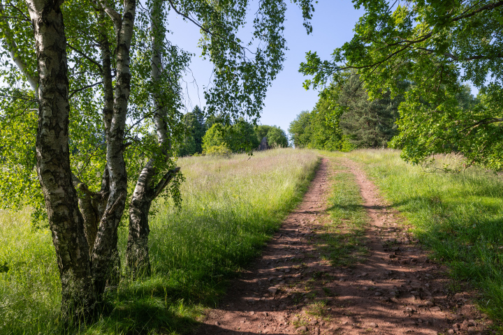 Polna droga w naturalnym terenie