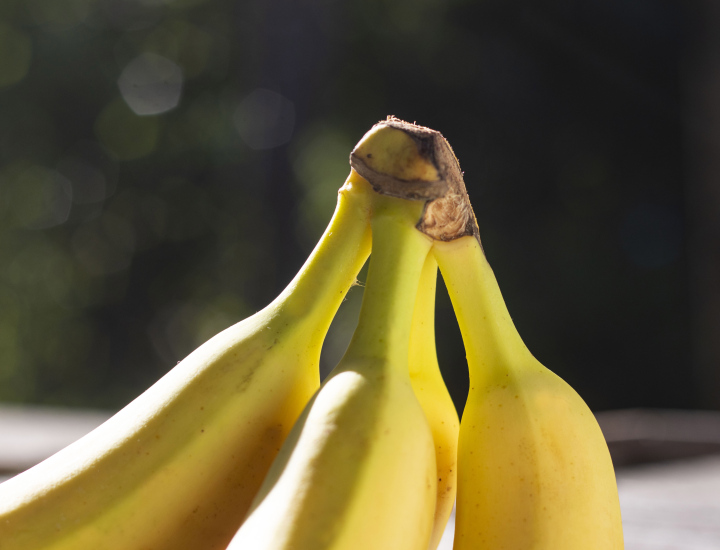 Kiść Bananów