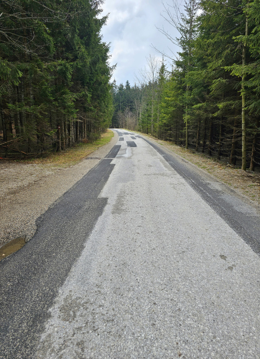 Asfaltowa droga przez las