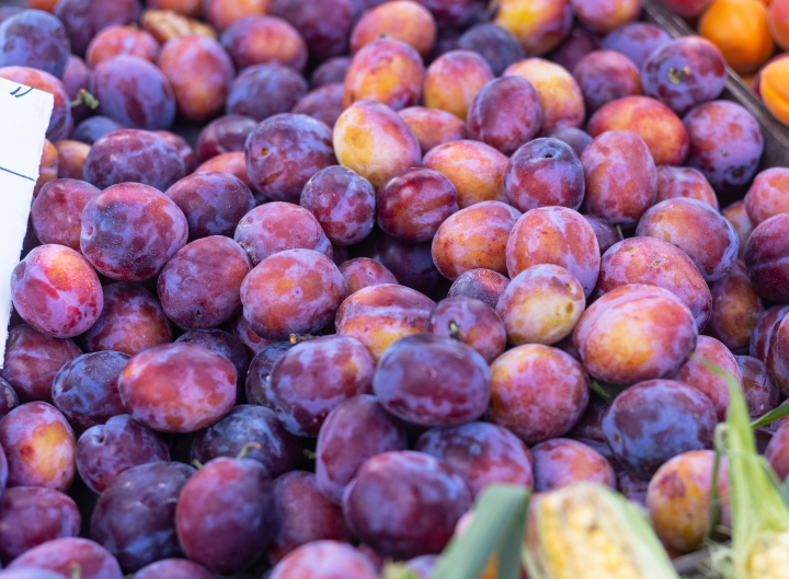 Owoce na Straganie, sprzedaż śliwek