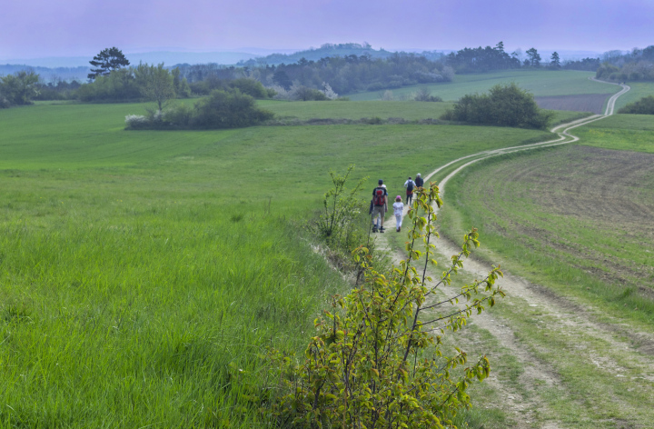 Rodzinna wyprawa, piesza wycieczka