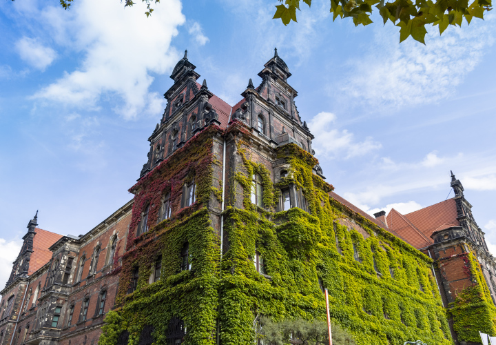 Muzeum Narodowe we Wrocławiu, budynek porośnięty pnączem