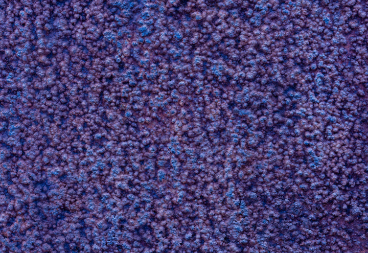 Organiczna Powierzchnia, tekstura do pobrania