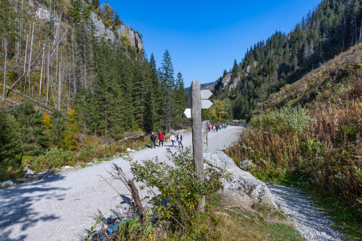 Spacer w Dolinie Chochołowskiej