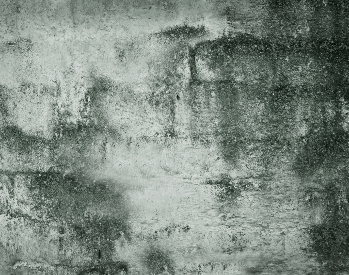 Stara Odrapana Ściana