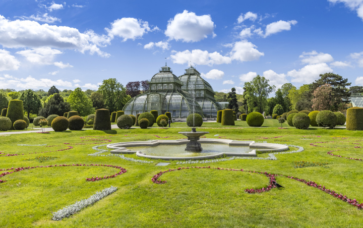 Palmiarnia w Wiedniu, Schonbrunn