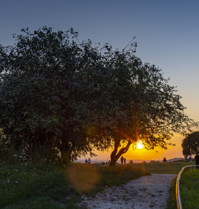 Ludzie Oglądający Zachód Słońca