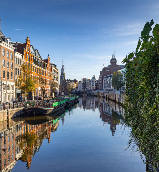 Pływający Targ Kwiatowy w Amsterdamie