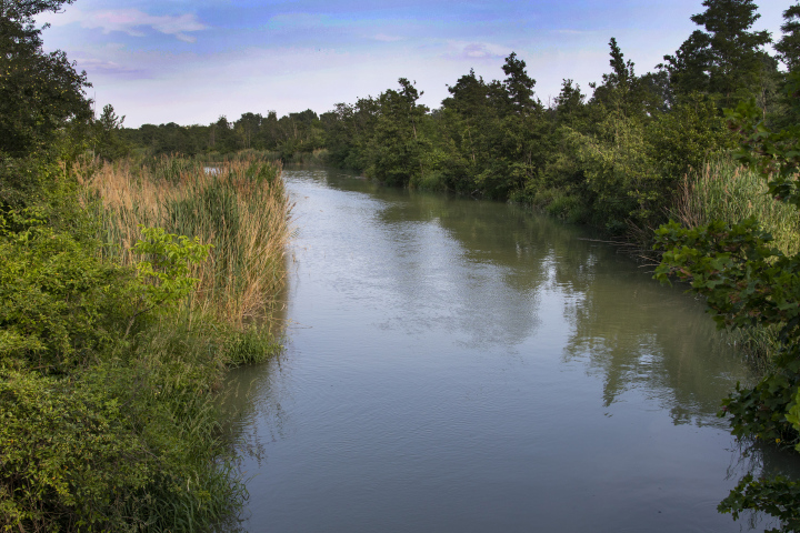 Kanał Z Naturalnymi Brzegami I Roślinnością 