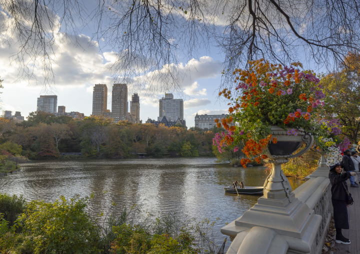 Most nad Stawem w Central Parku, Nowy Jork