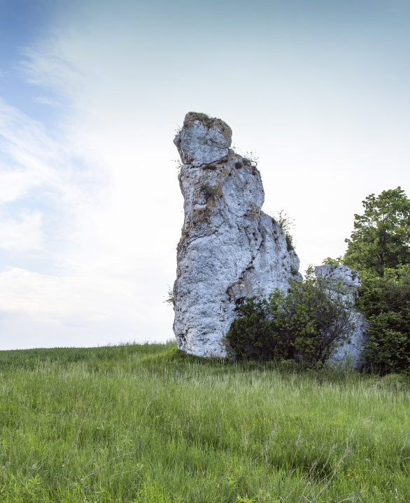 Ostaniec Obok  Skały 502 Grodzisko 