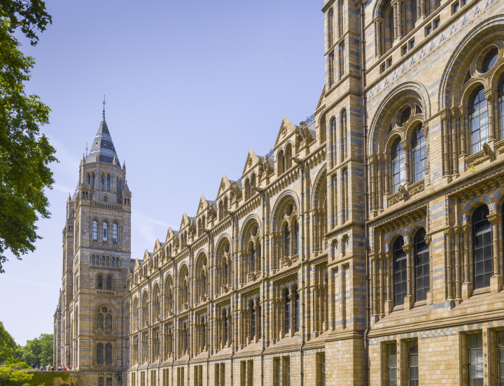 Muzeum Historii Naturalnej w Londynie